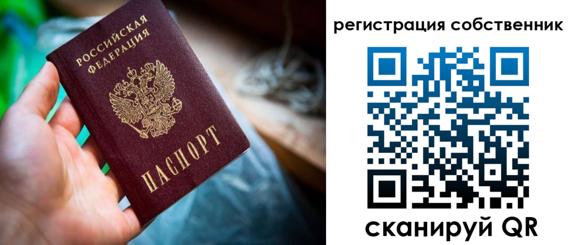 прописка гарантия в Суздали
